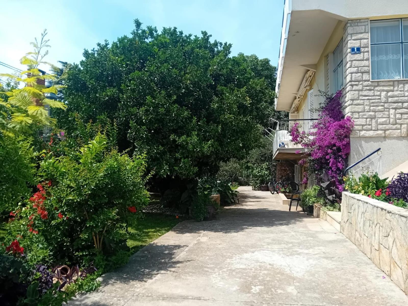 Apartments Angie Ζαντάρ Εξωτερικό φωτογραφία