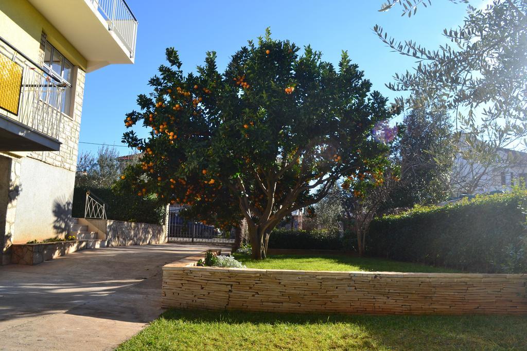 Apartments Angie Ζαντάρ Δωμάτιο φωτογραφία